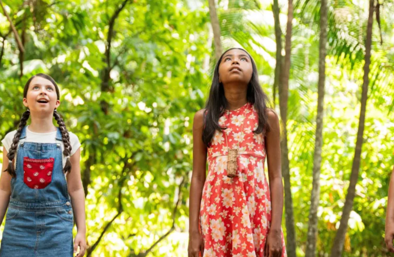 Crítica: “O Diário de Pilar na Amazônia”